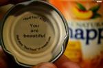 snapple facts